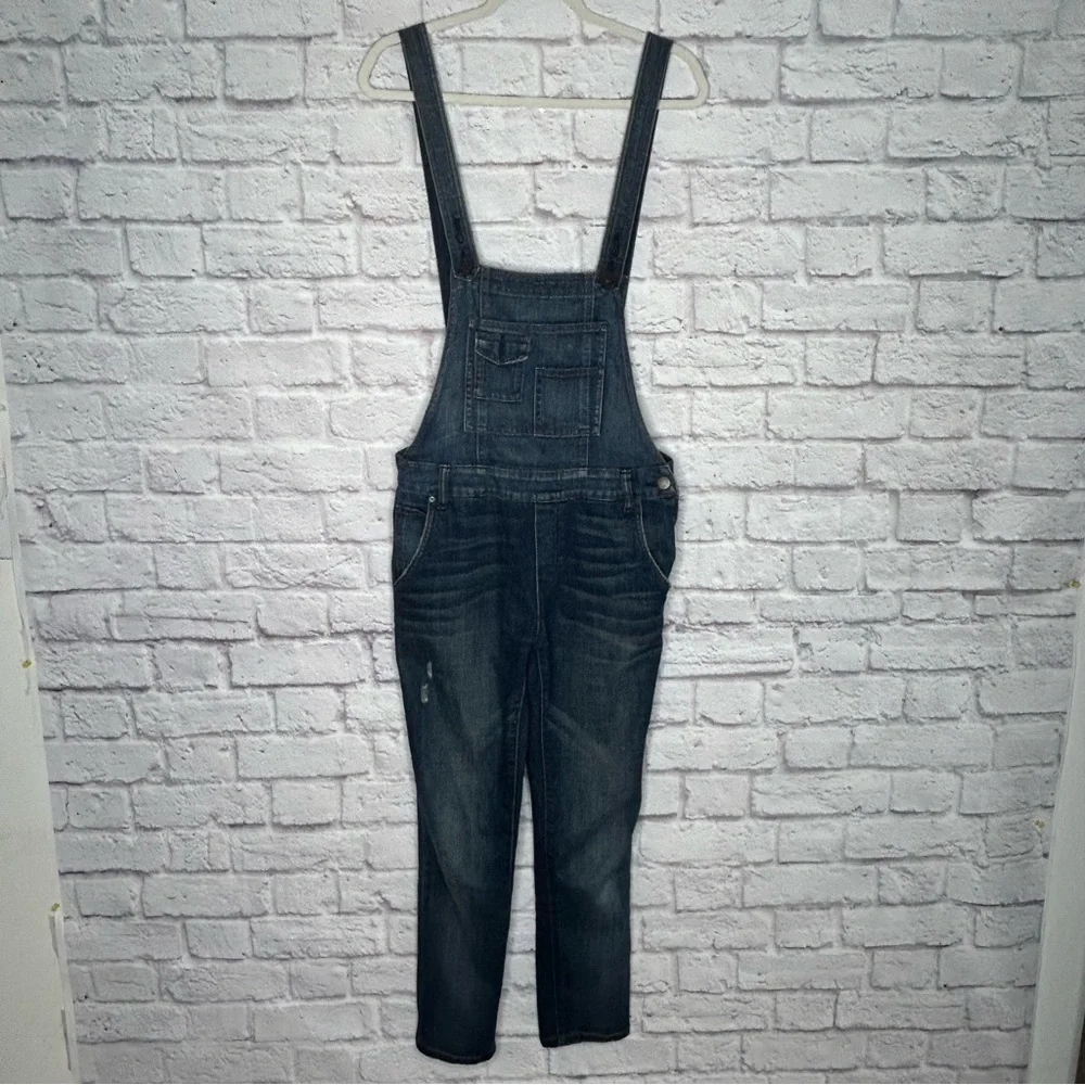 Free People Women's Sz 26 Distressed Backless Denim Overalls